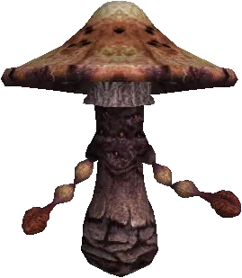 Green Fungus