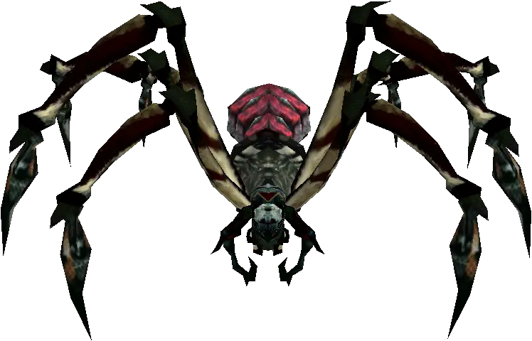 Venomous Spider