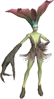 Mandragora Blossom