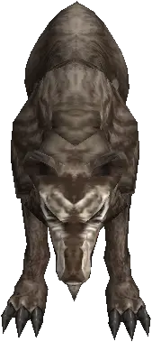 Kasha Timber Wolf