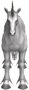 Unicorn Elder