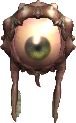 Eye of Pilgrim
