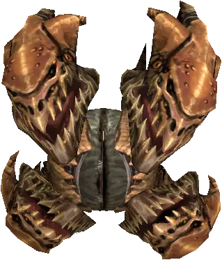 Elder Lost Watcher
